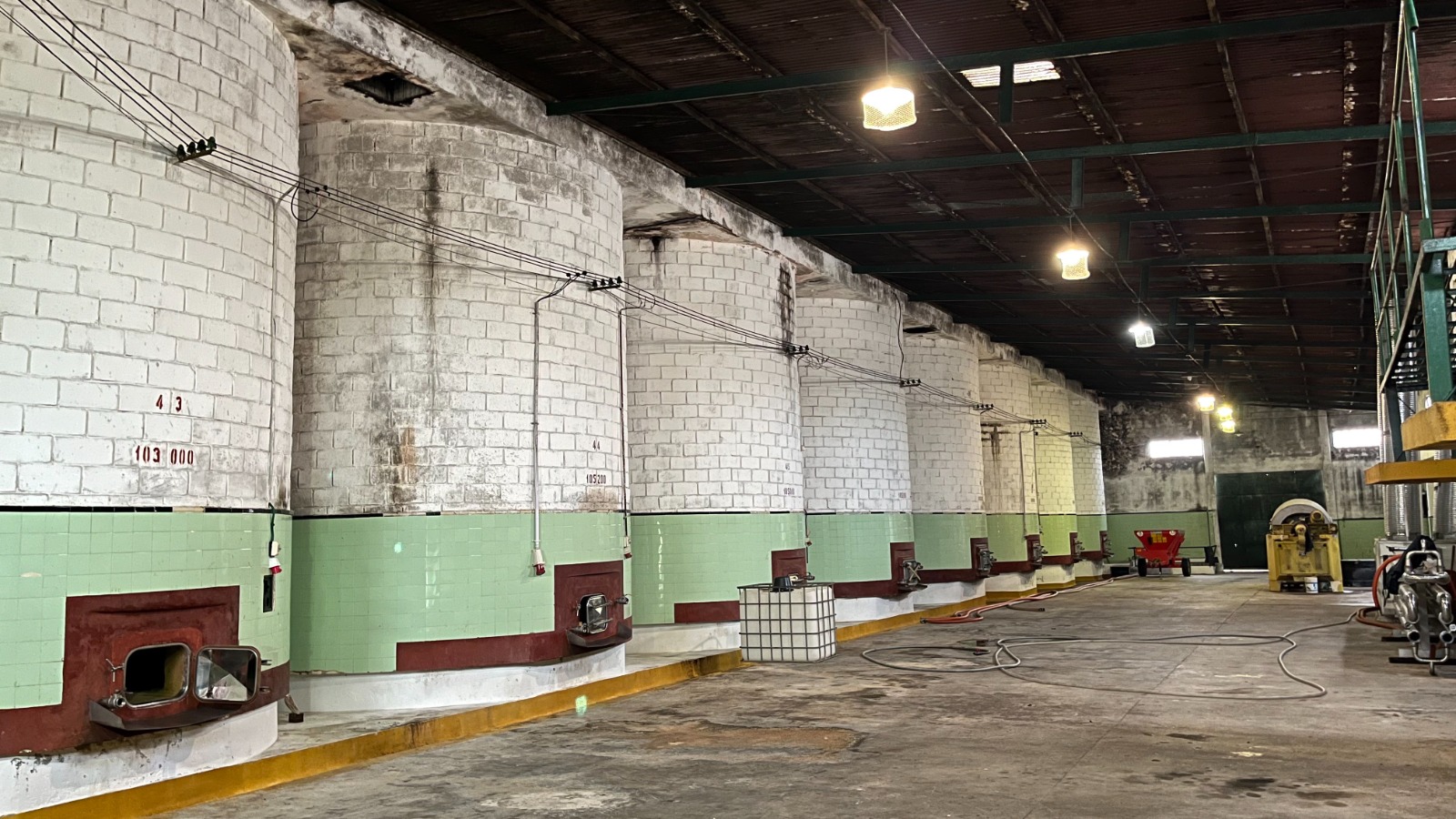 25 ha — Viñedo y bodega en producción en Canelones – 2