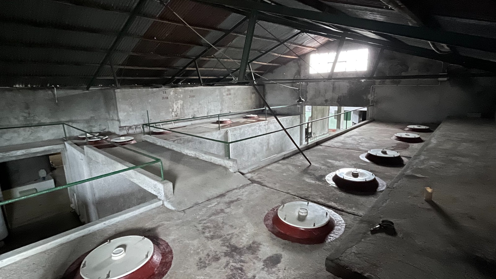 25 ha — Viñedo y bodega en producción en Canelones – 7