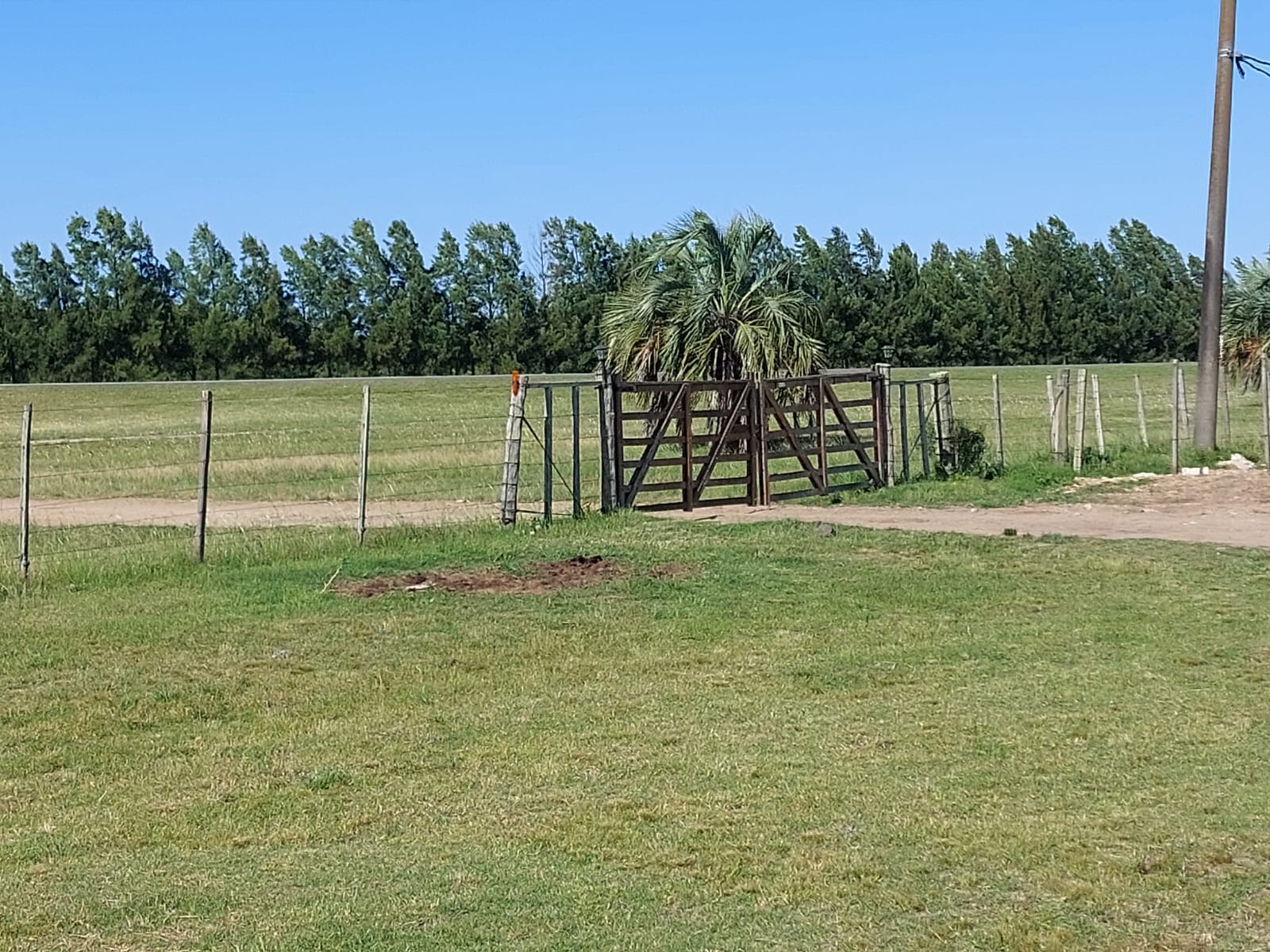82 ha agrícolas y de estilo de vida en Canelones – 1