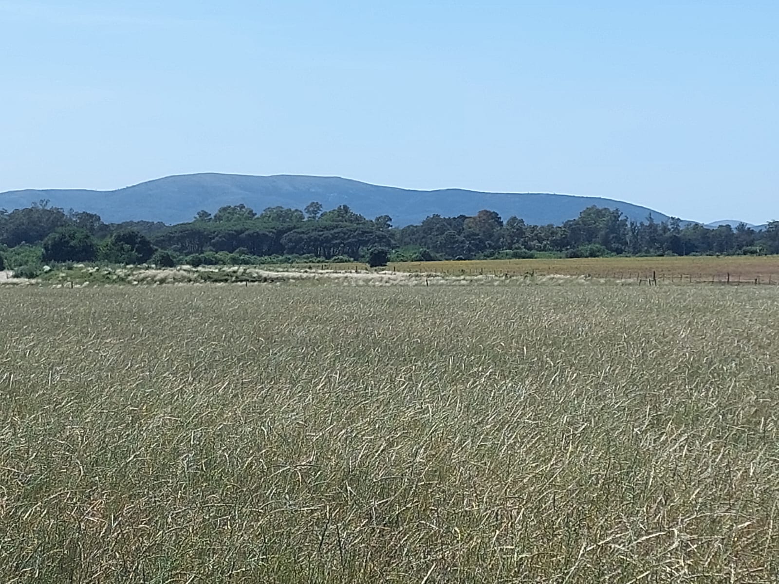 82 ha agrícolas y de estilo de vida en Canelones – 8