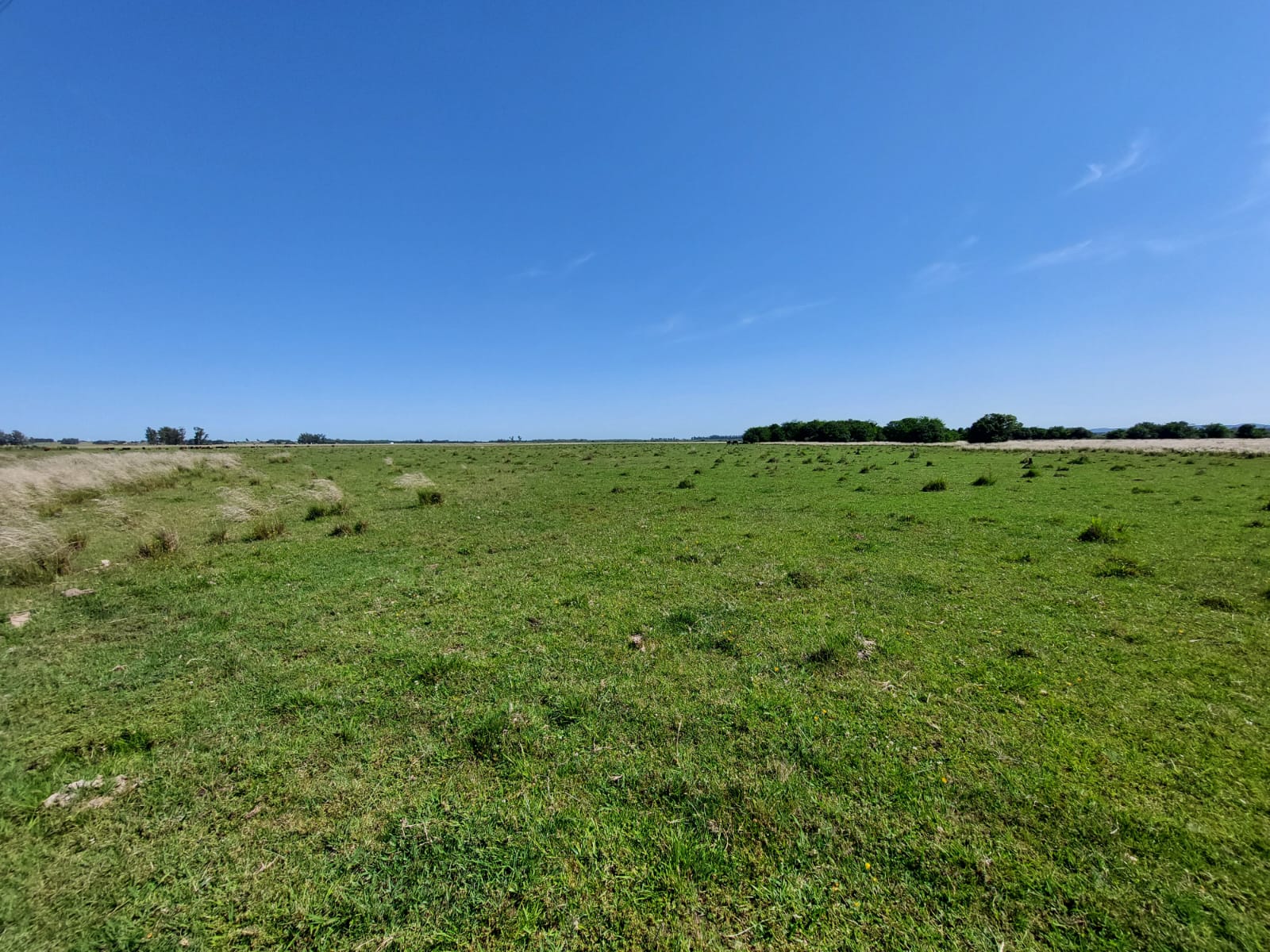 82 ha agrícolas y de estilo de vida en Canelones – 9