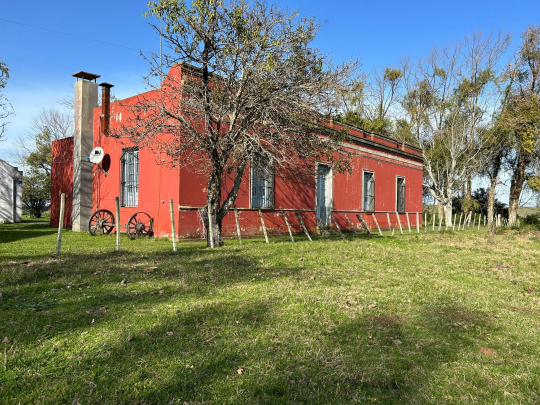 828 ha ganaderas y forestales en Durazno (La Paloma) – 1