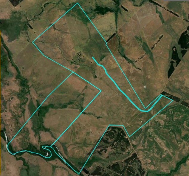 828 ha ganaderas y forestales en Durazno (La Paloma) – 5