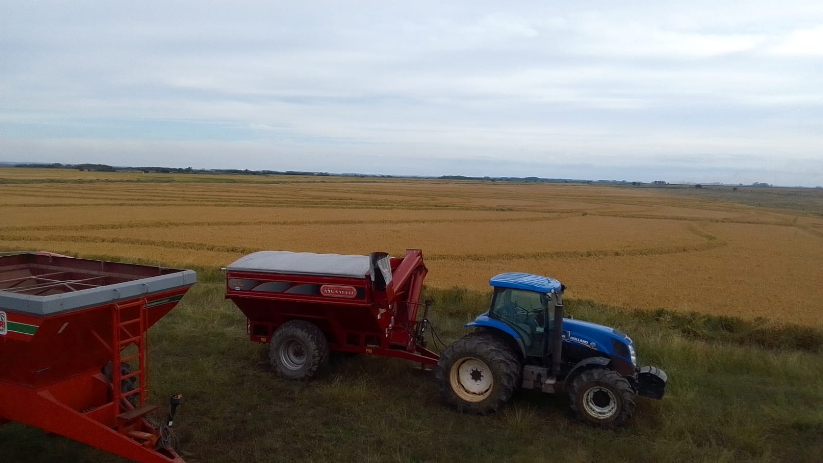 1.549 ha — Campo con aptitud agrícola, ganadera y forestal en Casupa – 1