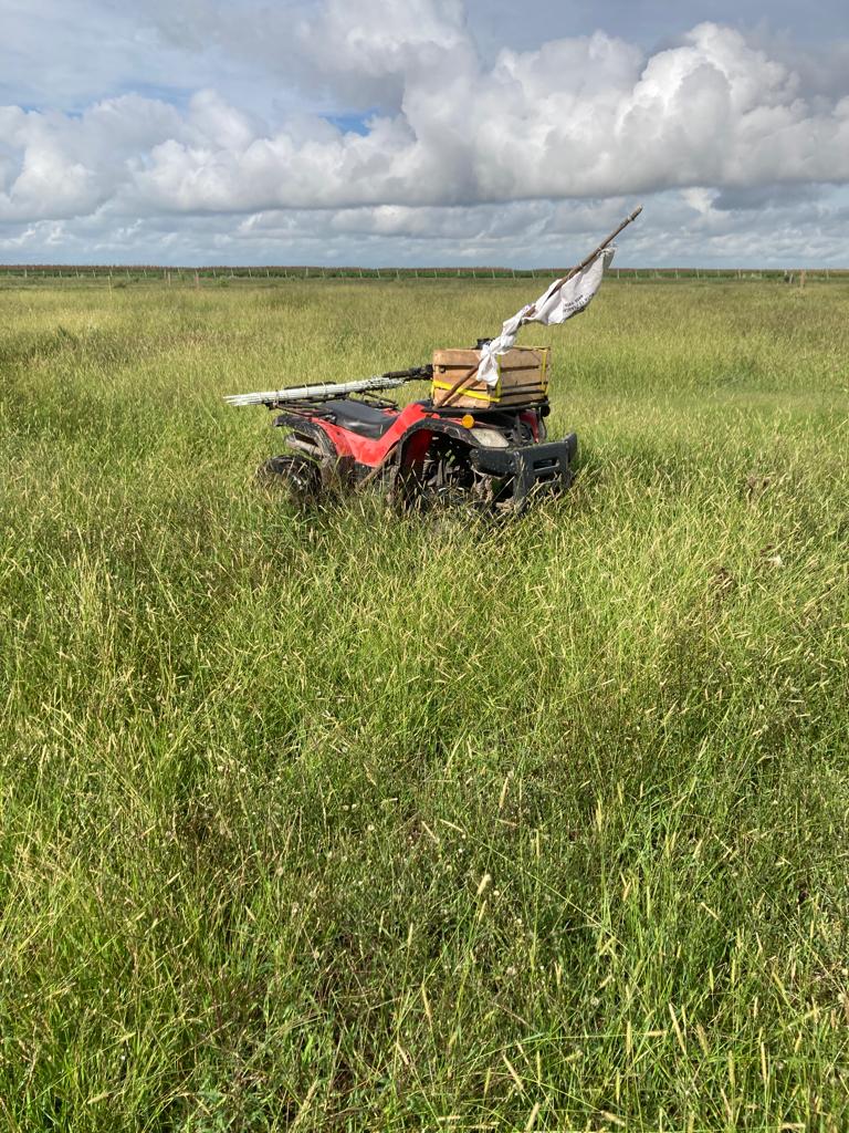 1.549 ha — Campo con aptitud agrícola, ganadera y forestal en Casupa – 6