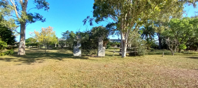 514 ha agrícola-ganaderas en Florida – 7