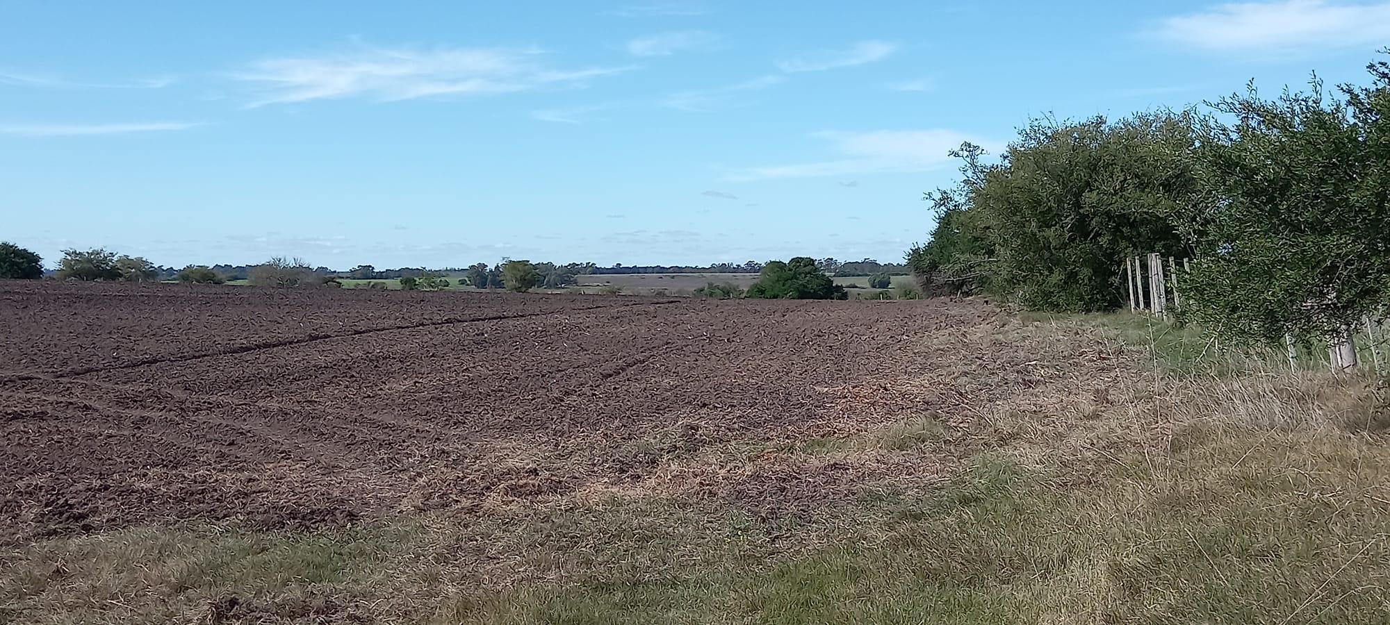 514 ha agrícola-ganaderas en Florida – 9