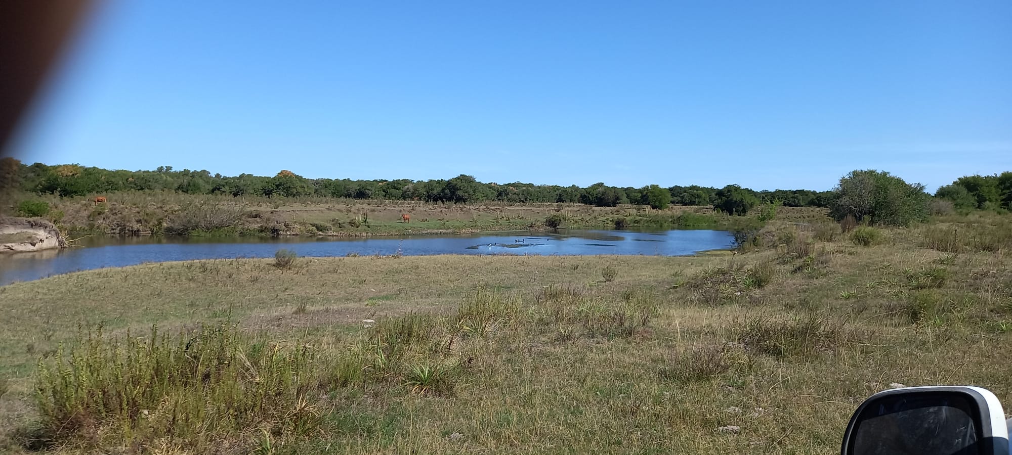514 ha agrícola-ganaderas en Florida – 12