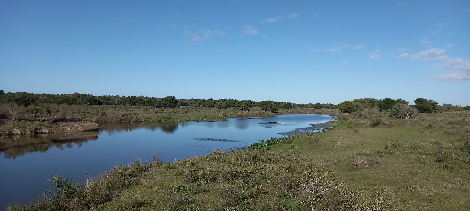 514 ha agrícola-ganaderas en Florida – 14