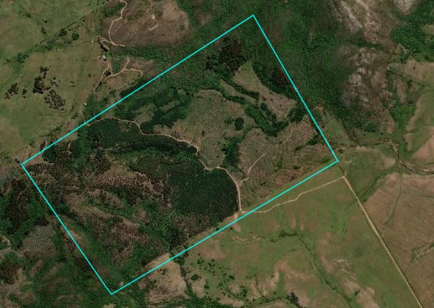 145 ha de naturaleza pura y potencial forestal en Lavalleja – 1