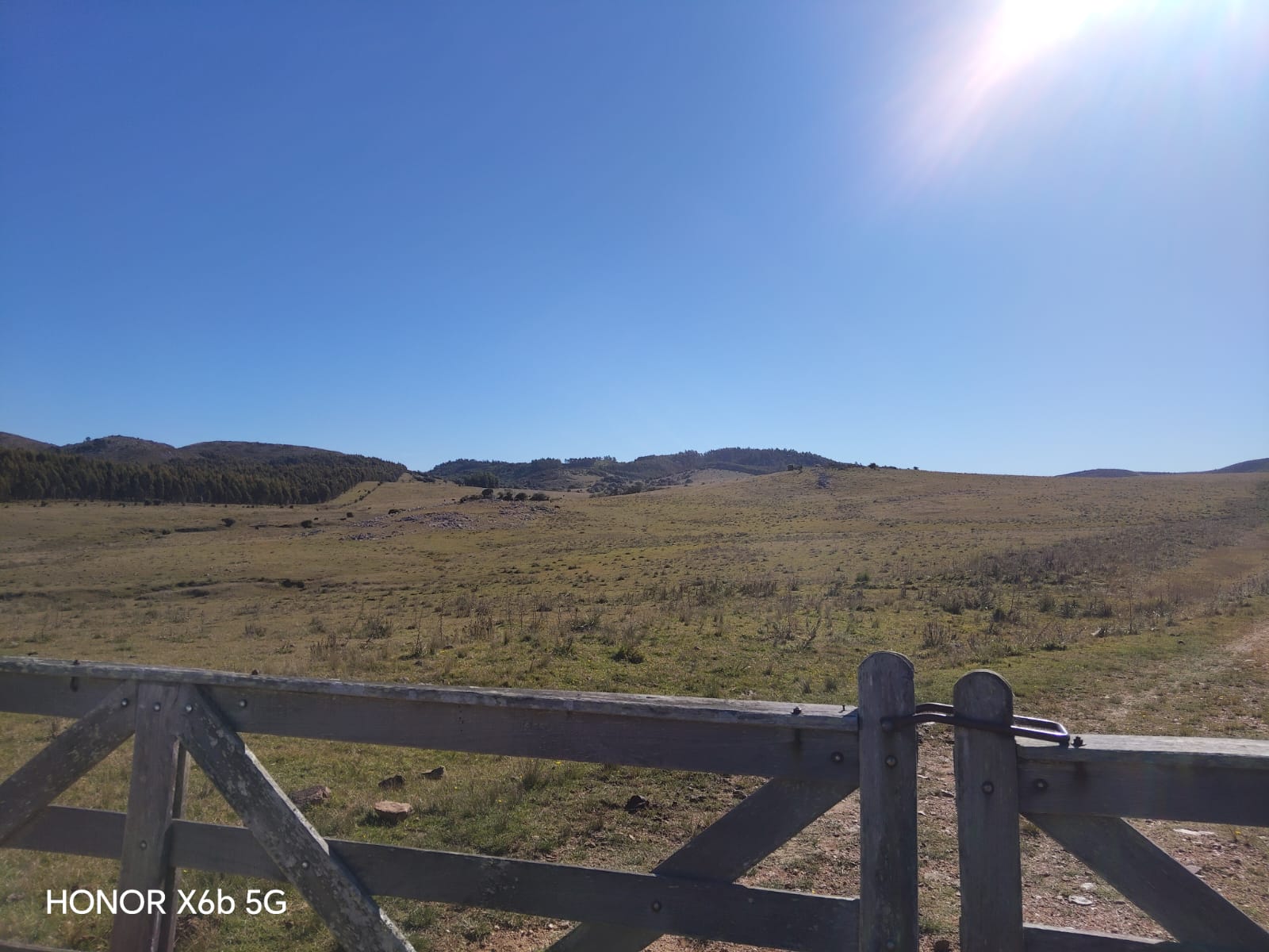 145 ha de naturaleza pura y potencial forestal en Lavalleja – 4