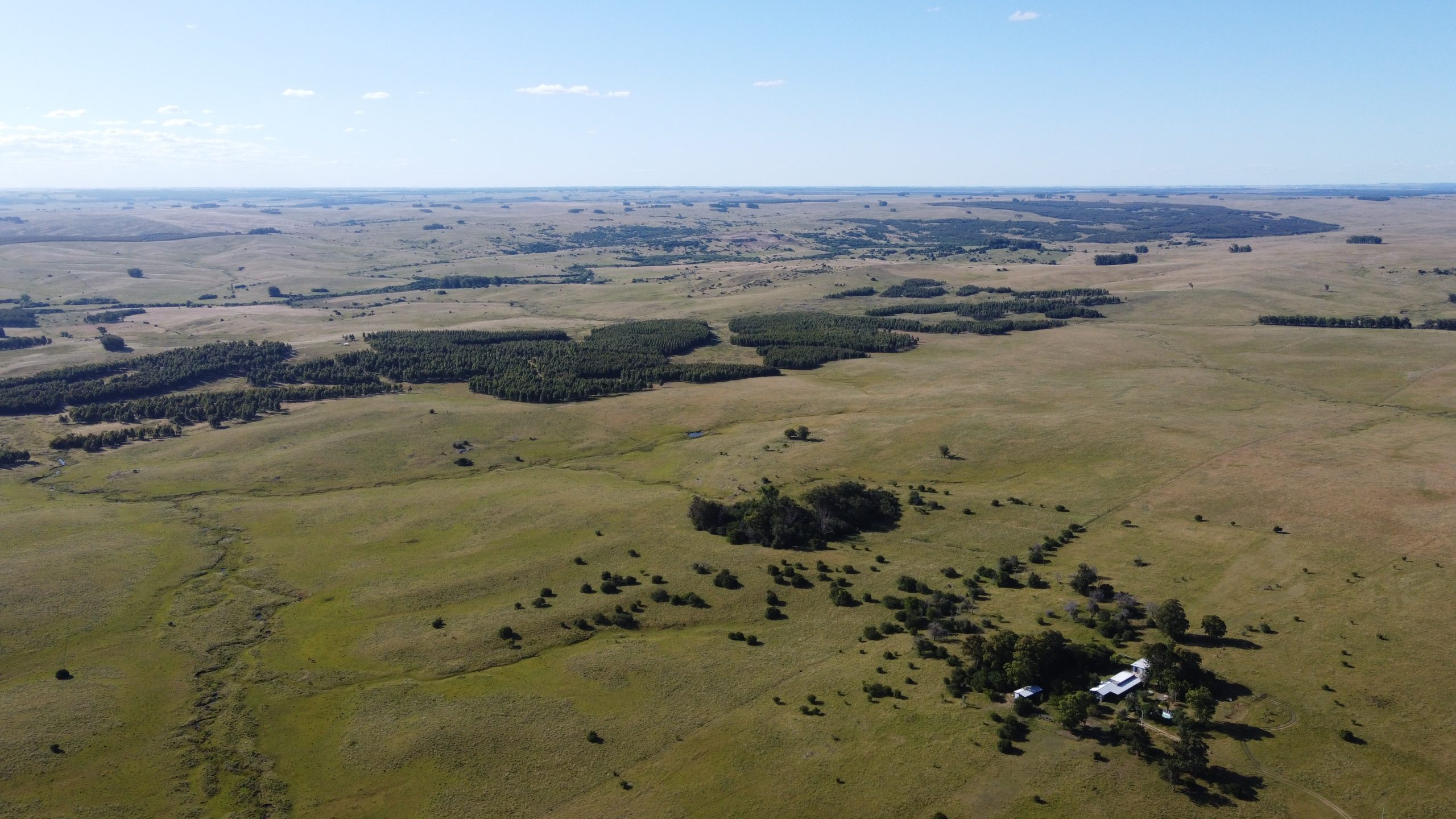 17 ha — Pequeña chacra de estilo de vida en Lavalleja – 1