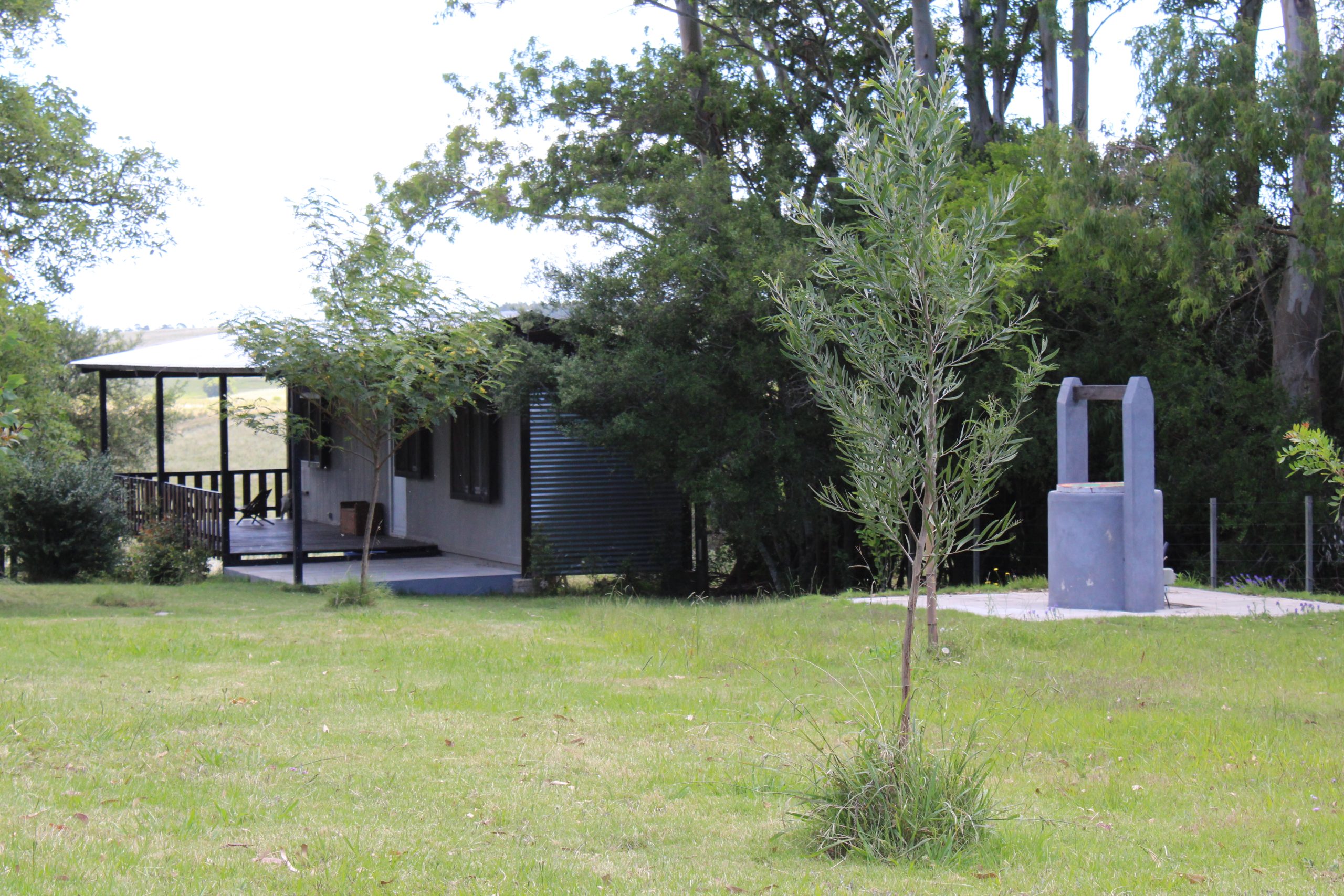 17 ha — Pequeña chacra de estilo de vida en Lavalleja – 12
