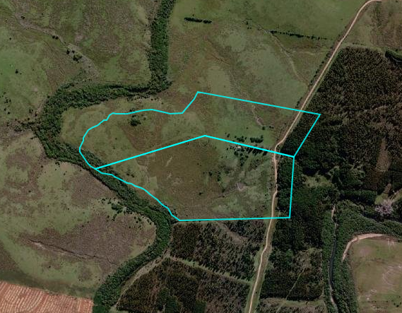 70 ha ganaderas y 100% forestales en Lavalleja (Chamamé) – 1