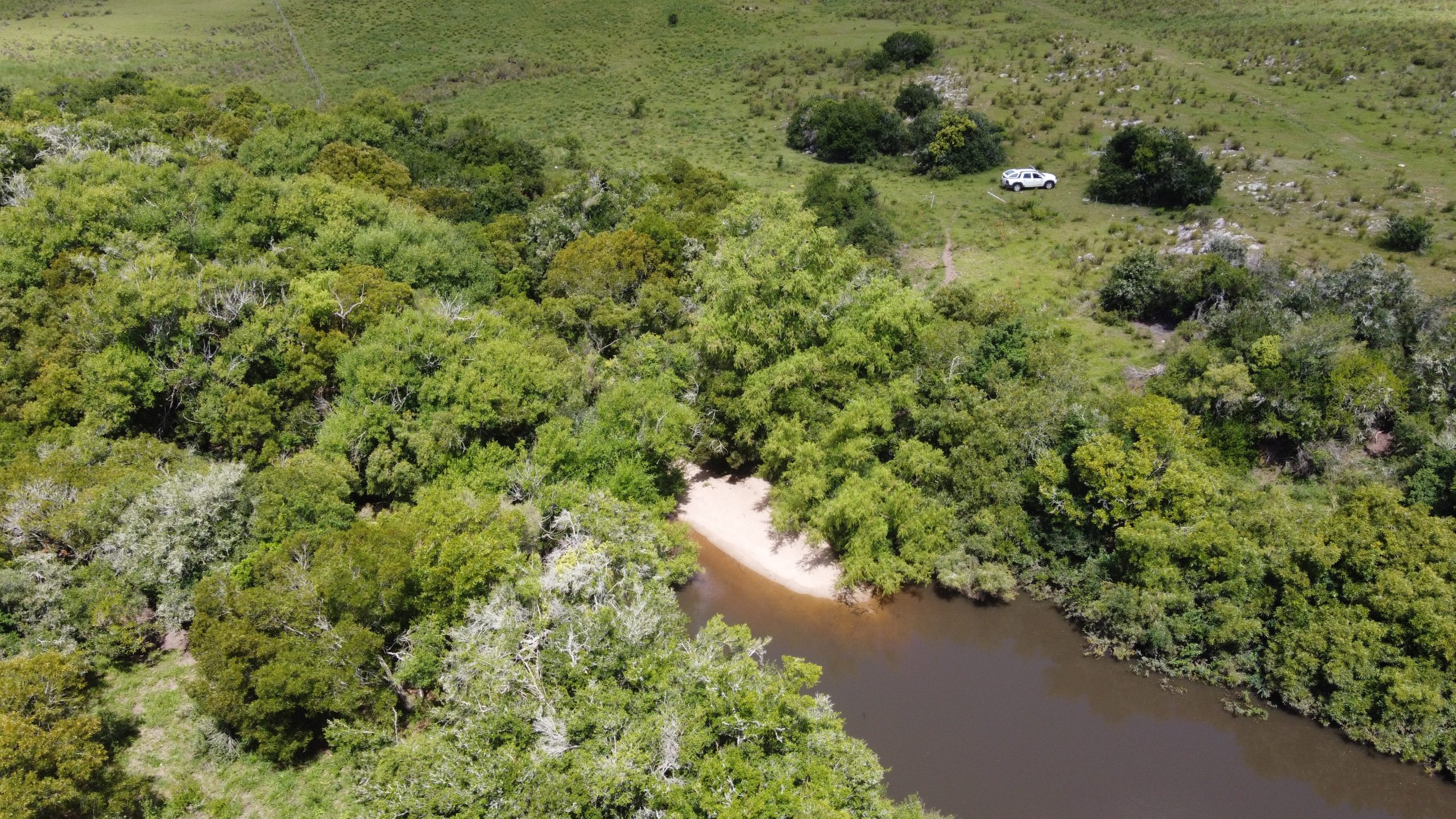 70 ha ganaderas y 100% forestales en Lavalleja (Chamamé) – 7