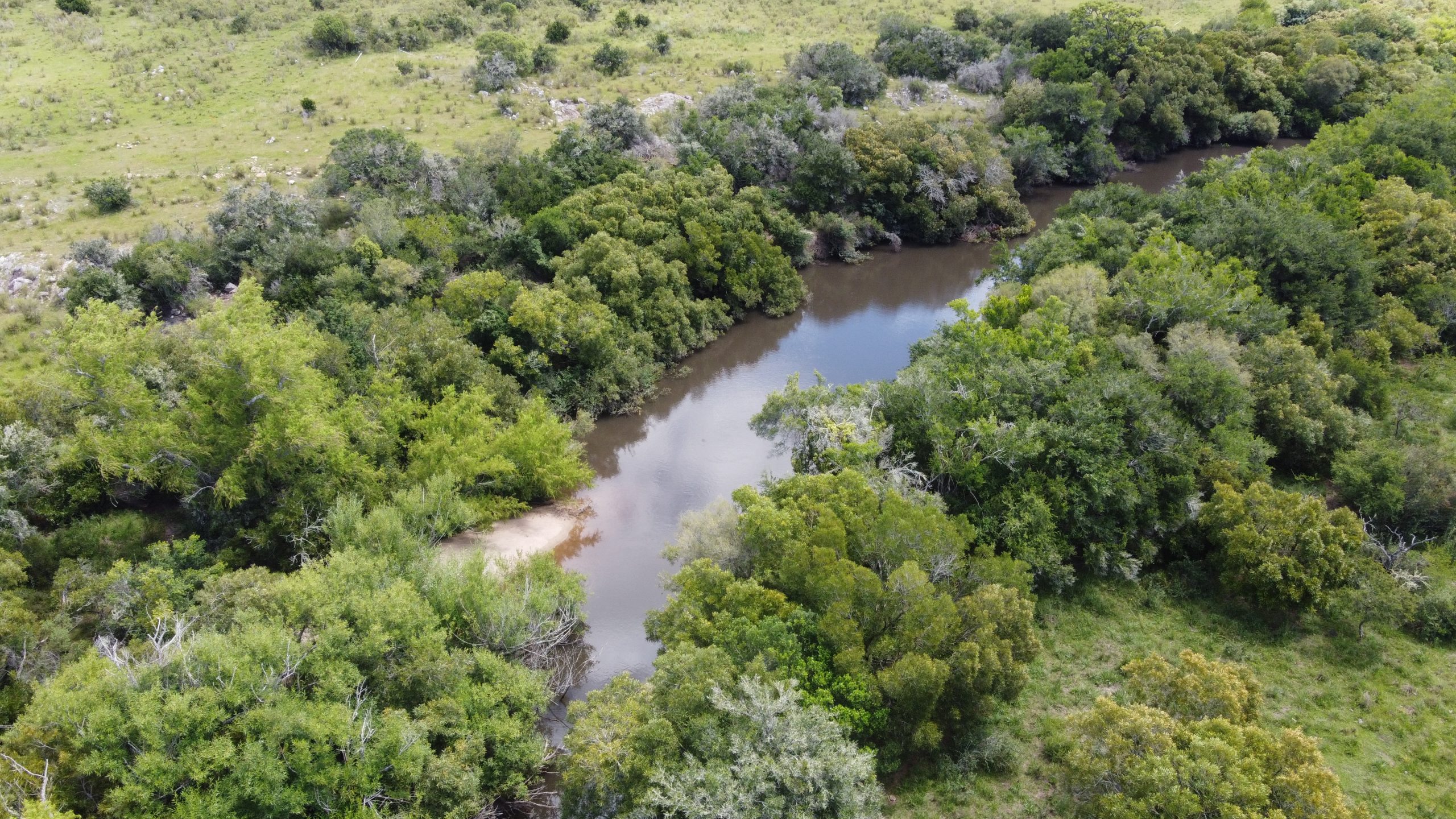 70 ha ganaderas y 100% forestales en Lavalleja (Chamamé) – 8