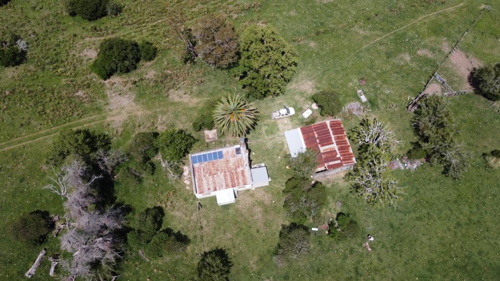 70 ha ganaderas y 100% forestales en Lavalleja (Chamamé) – 10
