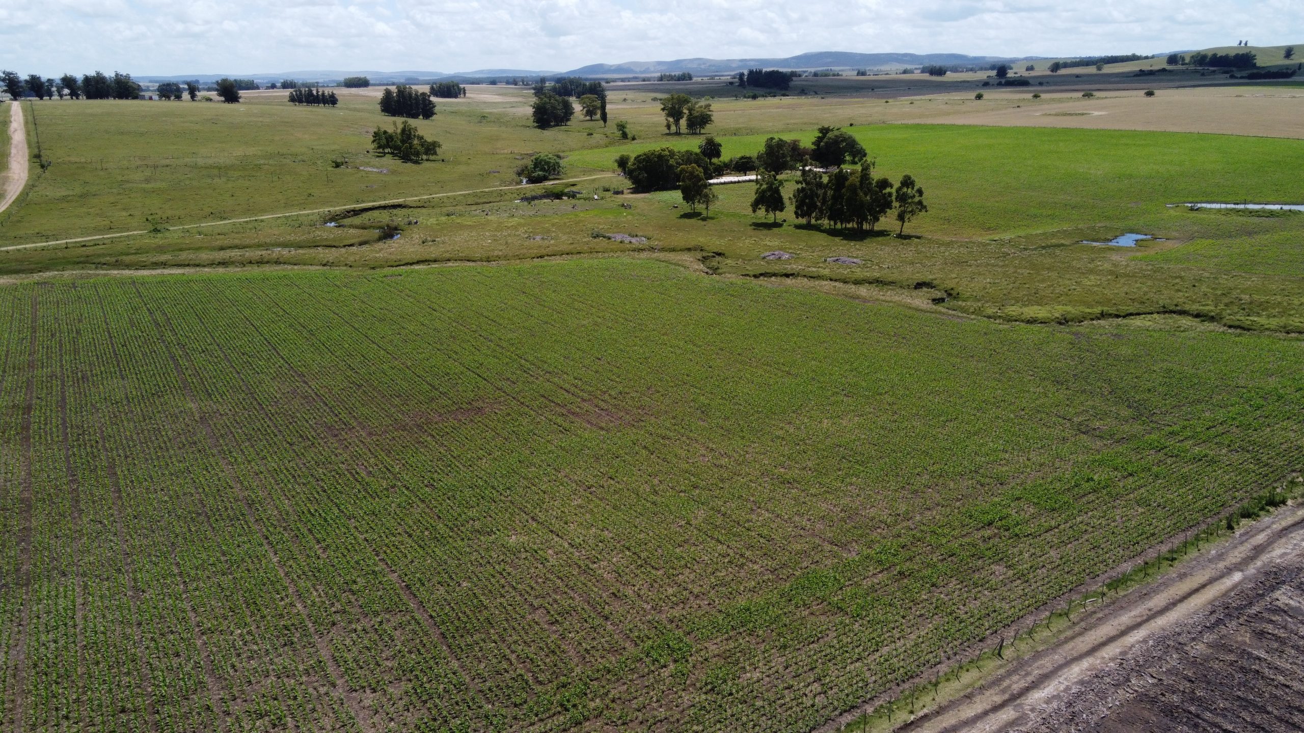89 ha agrícola-ganaderas con grandes reservas de agua para riego en Lavalleja – 3