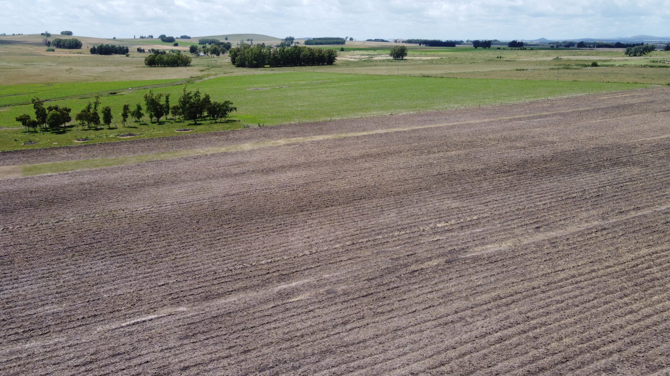 89 ha agrícola-ganaderas con grandes reservas de agua para riego en Lavalleja – 4