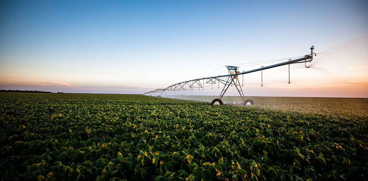 3.700 ha — Campo agrícola con riego (16 pivots) en Río Negro – 1