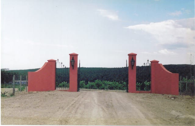 15 ha — Chacra de frutales en Rocha, cerca del mar – 1