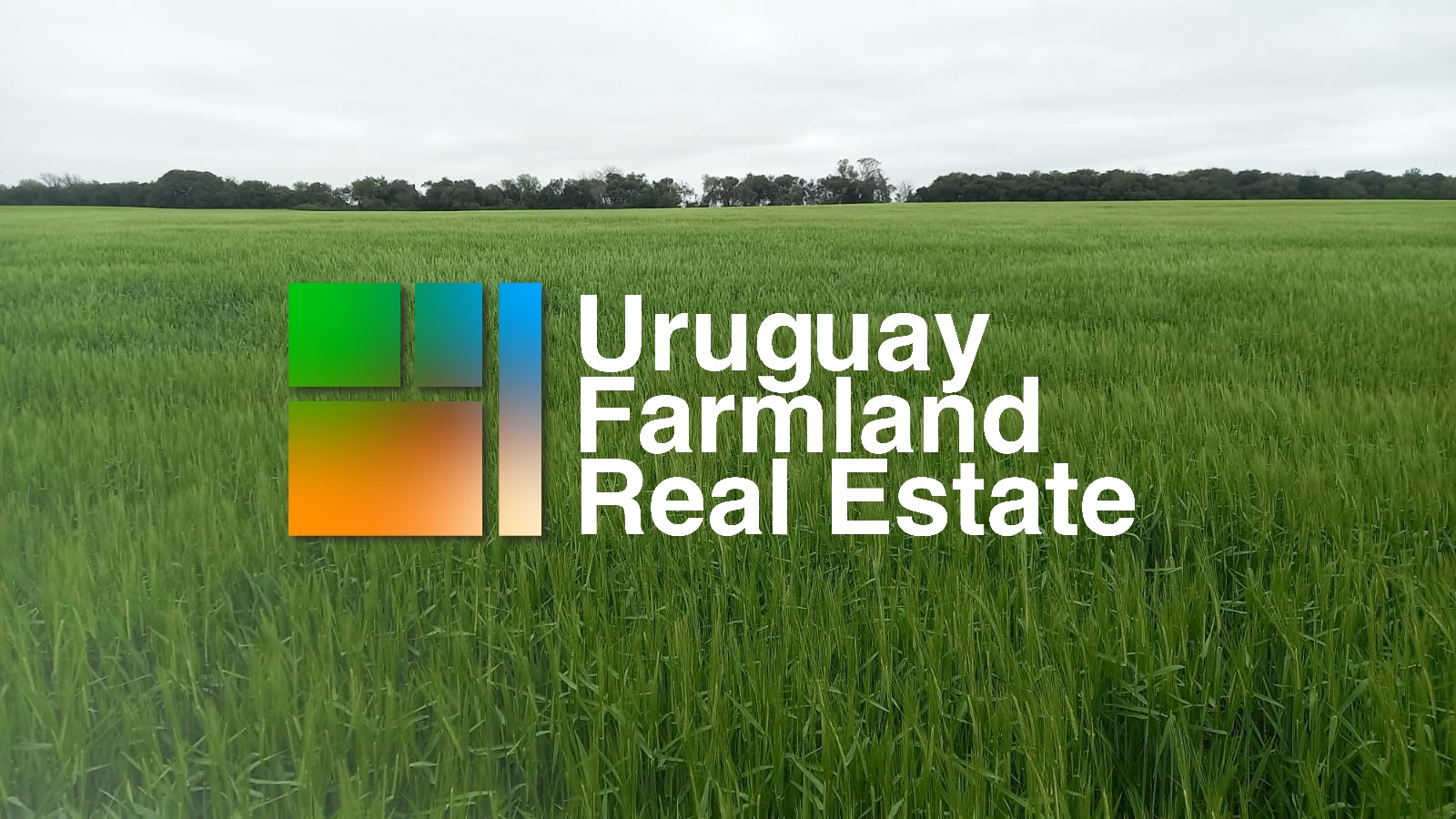 1.014 ha en Canelones — 25% agrícola / 75% ganadero – 1